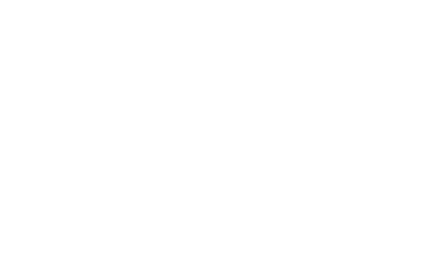 Smith Hudson Law LLC